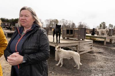Slik blir turistbedriftene rammet av svindelbølge: – Katastrofe for små bedrifter