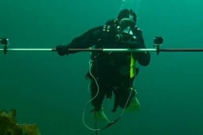 Test deg selv: Forskning.nos quiz