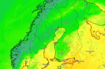 Gladmelding: - Sommeren kommer tilbake