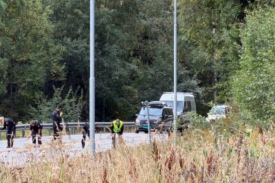 Mann omkom i trafikkulykke i Gjøvik