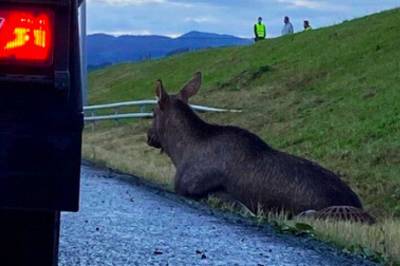 Telefonen sparer deg for tusener
