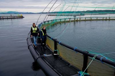 Stavanger vil utfordre Bergen i kampen om nytt direktorat