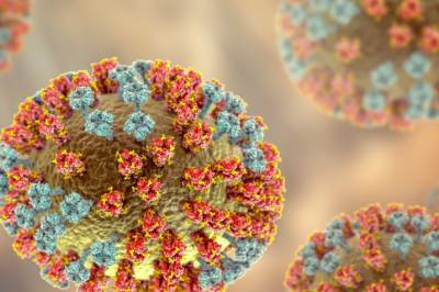 - Den hissige sorten