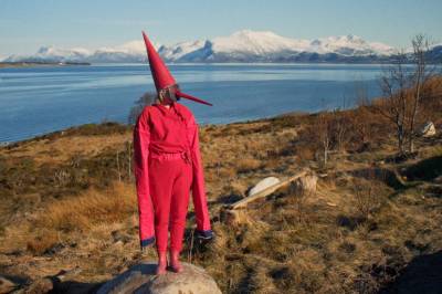 Det grønne skiftets forbannelser