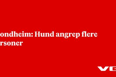 Trondheim: Hund angrep flere personer
