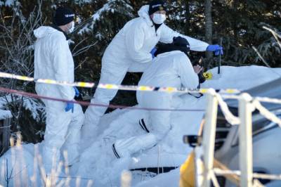 Erkjenner delvis straffskyld