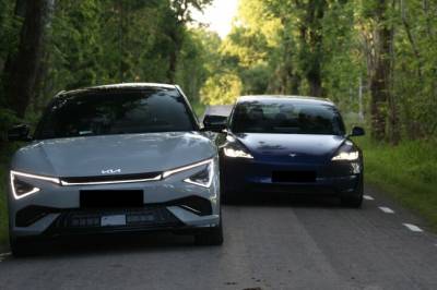 Svensk redaktør: - Forby dritten