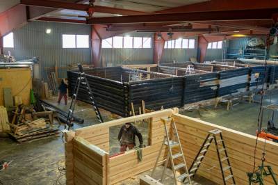 Giftalarm i gamle tømmerhus: Fryktar prissjokk på vedlikehald