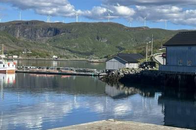 Flatt hav, jaget i Rørvik, og langene nappet på bursdagen