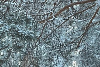 Helge trodde knapt det han så: – Aldri sett før