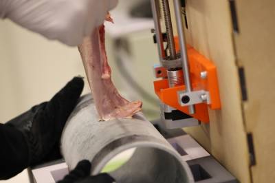 Å sette fast tunga. Vitenskapen bak en veldig kald tabbe