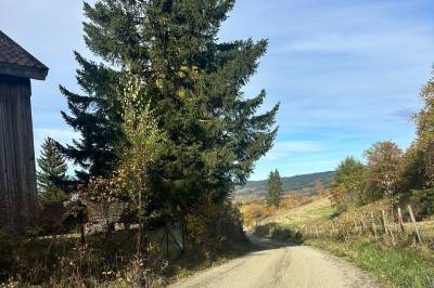 Kongevegen er utbedret – takk for innsatsen!