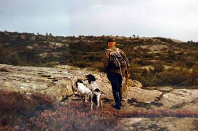 Nei til Hydros vindkraftplanar på Bergtjønnheia i Bygland