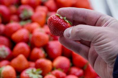 Fant hormon­forstyrrende stoffer