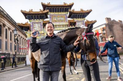 Hestens år: – En av de mest intense kombinasjonene