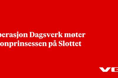 Operasjon Dagsverk møter kronprinsessen på Slottet
