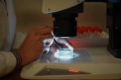 Etter 15 generasjoner ser forskere fremdeles effekt av miljøgifter