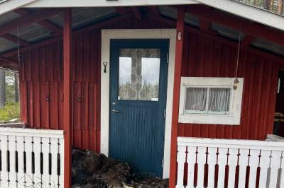 Skulle feire midtsommer - fant elg på verandaen