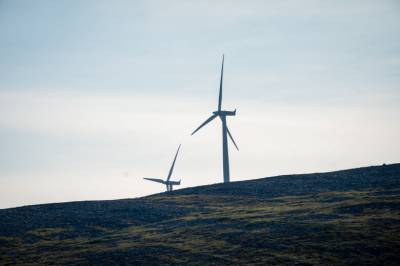 Skrelles i stykker av regn