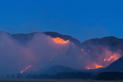 To barn mistenkt etter terrengbrann i Ørland