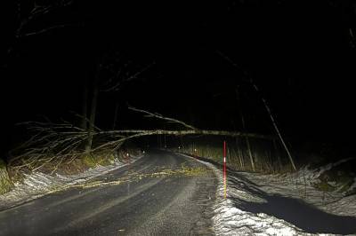 Kraftige vindkast har veltet et tre over Fossingveien