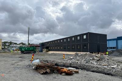 Dukket plutselig opp på Bakarøy – kan bli stående i fem år