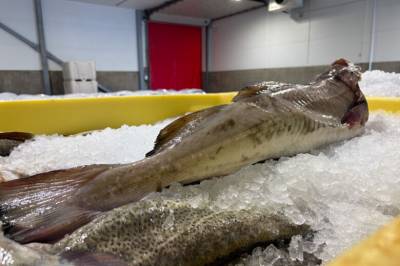 Prisene til himmels: – Det er en helt ny situasjon