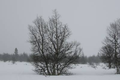 En grå påskehelg i vente
