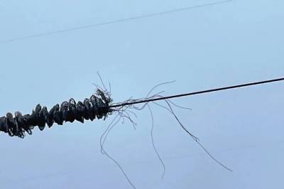 Strømsystemet: : Radikale (heste)krefter i sving