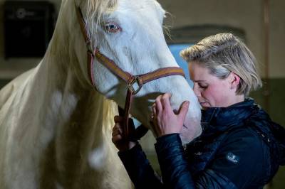 – Jeg står i fare for å miste gården