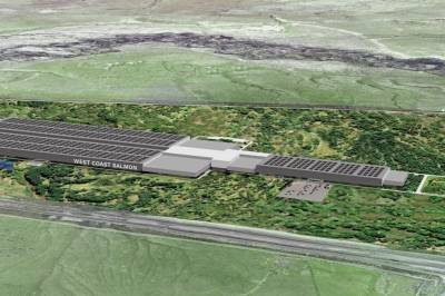 Norsk laksedrøm i USA konkurs