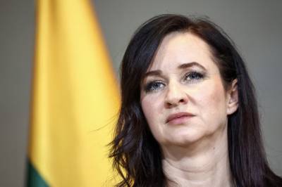 Litauens statsminister sier at dronen som styrtet i landet, kom fra Ukraina