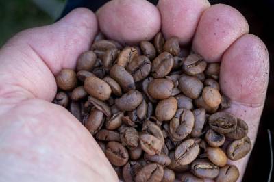 Kaffe blir billigere – kan ta måneder før det merkes i Norge