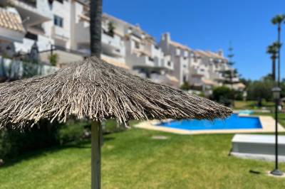 Våknet med AirPods i kjeften og fikk togbillettene spist av rådyr: Her er sommerens sprøeste skademeldinger