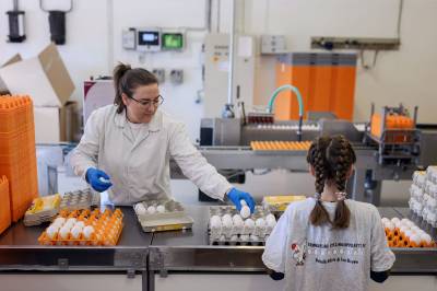 Jobber på spreng for å levere egg i påsken