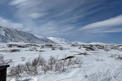 width=device-width, initial-scale=1, viewport-fit=cover