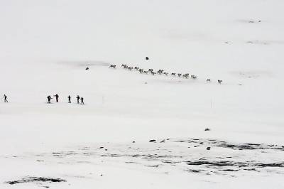 Sky: Gattuso forlater Italia etter kvalifiseringsfiasko