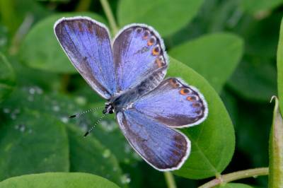 Test deg selv: Forskning.nos quiz