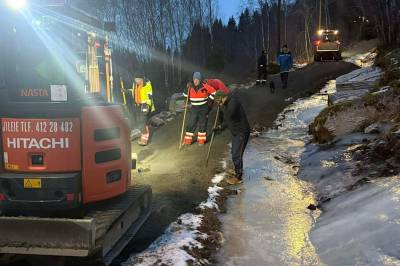 (+) Det lyser i skogen på Åfarnes