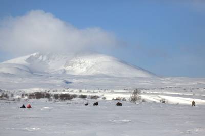 Vill natur i nasjonalparkene? – Den «urørte naturen» er veldig berørt