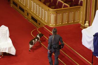 Gjennomsøker Stortinget med bombehund