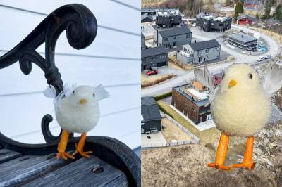 Over 500 svar kom inn: Her er vinnerne i våre påskenøtter