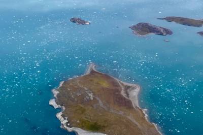 Studie: Naturen selv bidrar til å bremse klimaendringene