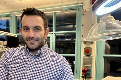 Sånn kan strømnettet bli mer effektivt