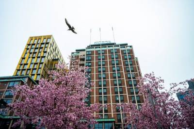 width=device-width, initial-scale=1, viewport-fit=cover