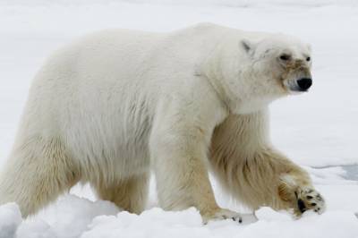 Forskere måper: - Ikke forventet