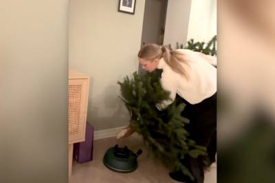 Eksperttips: Slik nailer du juletreet