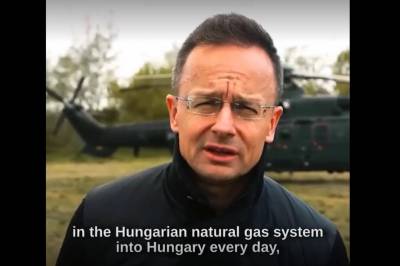 Beskylder Ukraina for «statsterrorisme»