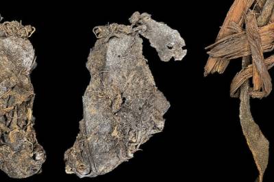 Test deg selv: Forskning.nos quiz