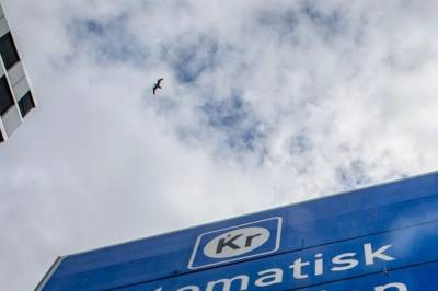 Ikke betal for mye: Slik velger du riktig bombrikke